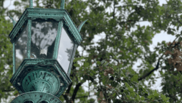 Street lamp focus with a soft background of green trees