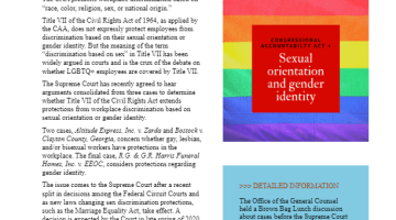 Cover Page of the Your Rights at Work - Are LGBTQ+ Employees protected by the CAA pdf