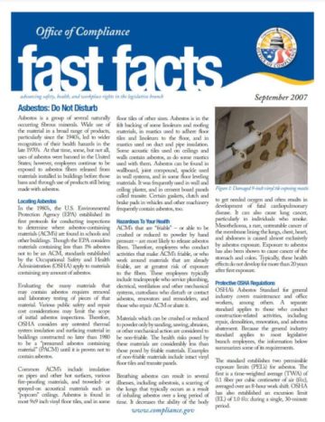 Asbestos Do Not Disturb, first page pdf screenshot