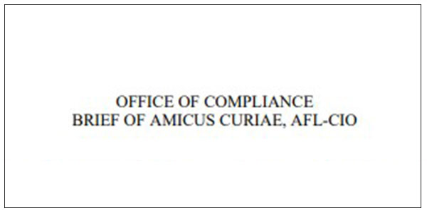 Featured Image of the Amicus Curiae Brief of the AFL-CIO - Re: January 24, 2005 Notice and Invitation to File Amicus Curae Briefs PDF