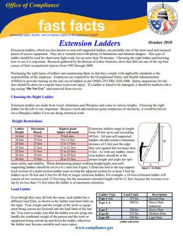 Cover Page of the Extension Ladders pdf