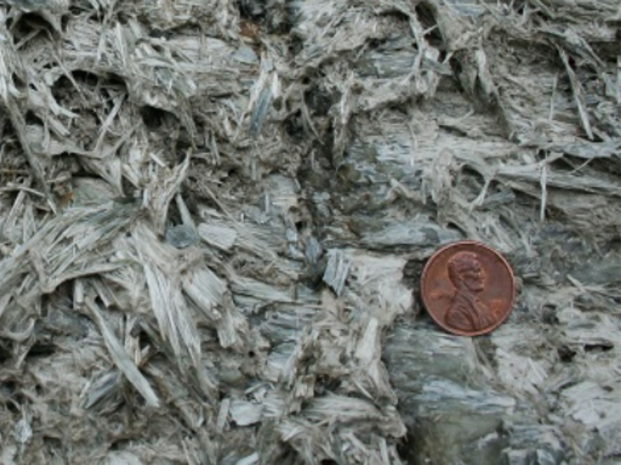 asbestos growing