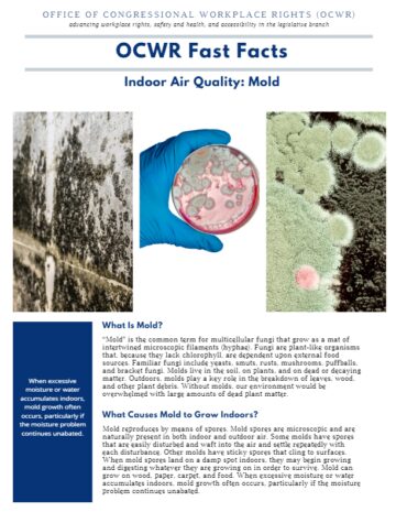 Cover page of a document on the subject of Indoor Air Quality: Mold